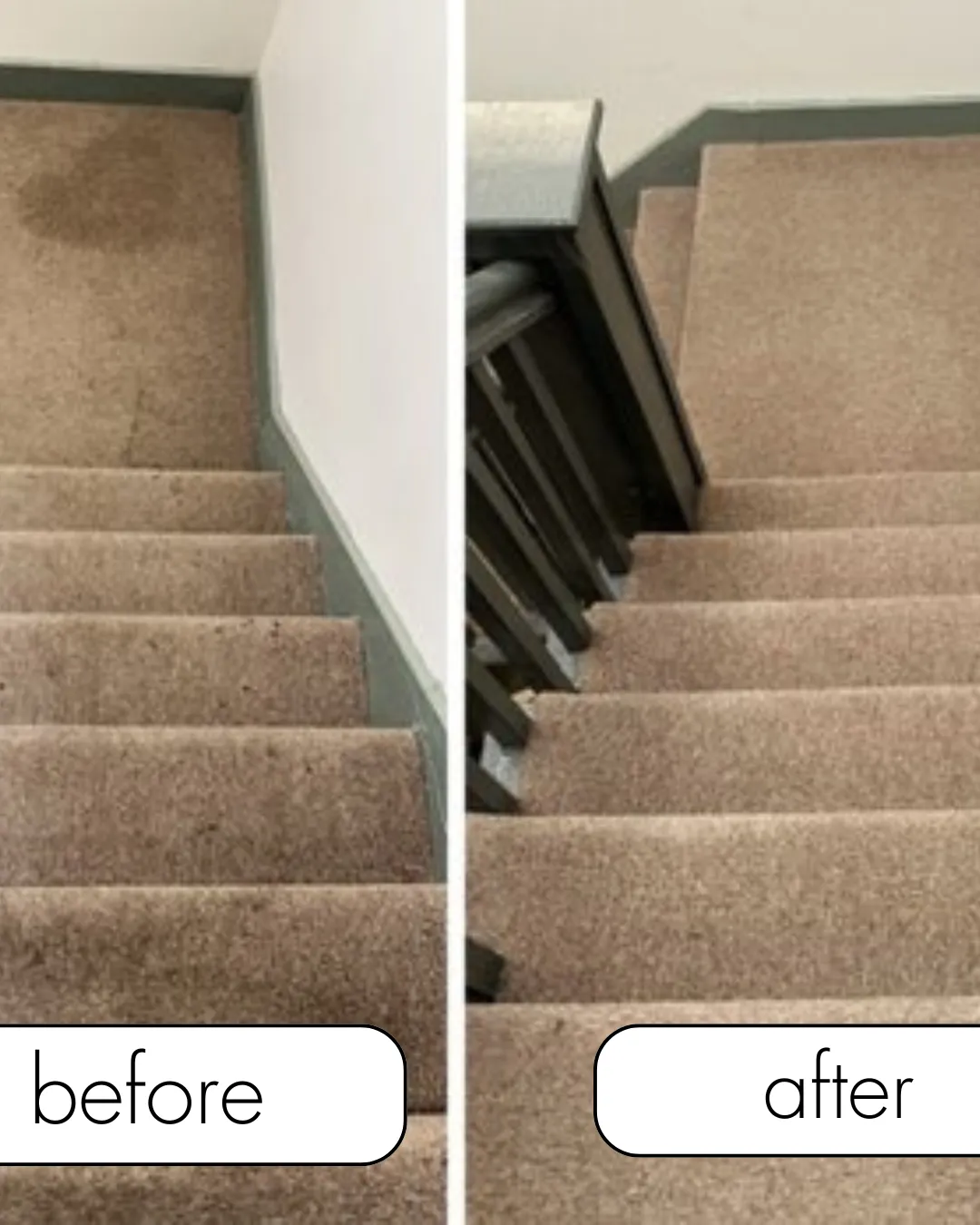 Carpet Cleaning service dundee