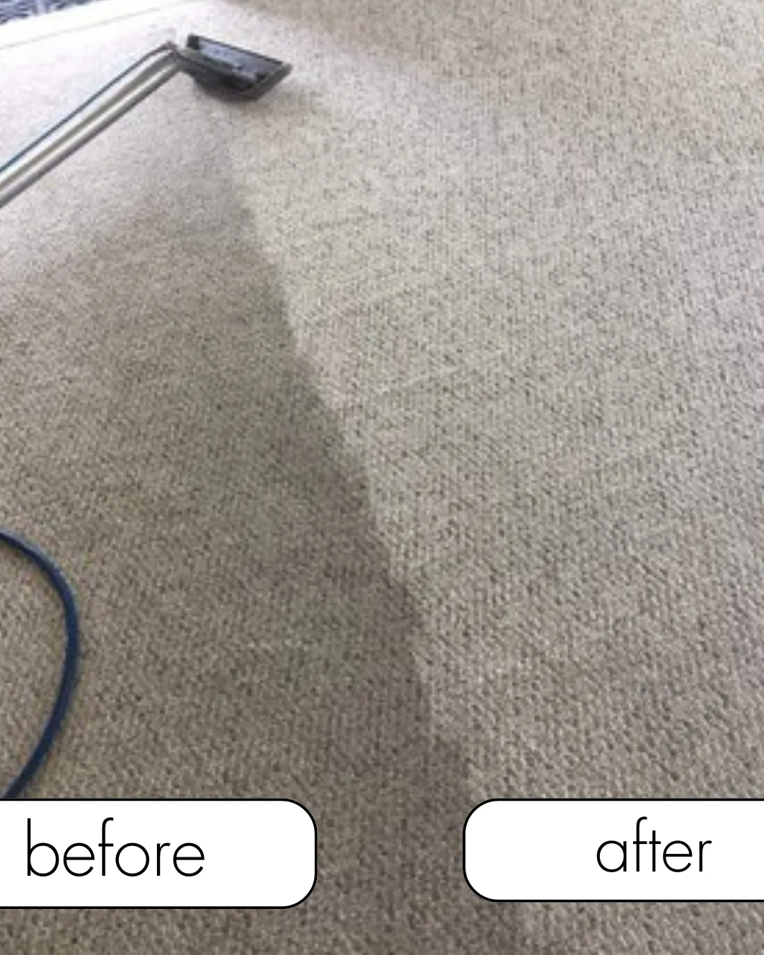 mattress cleaning dundee