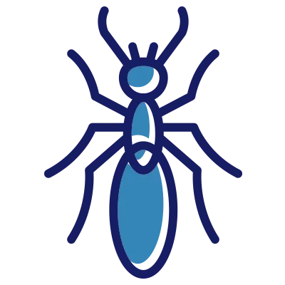 ant pest control