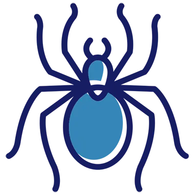 spider pest control and exterminators