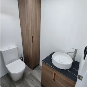 Leaking Tap, Shower & Toilet Repairs