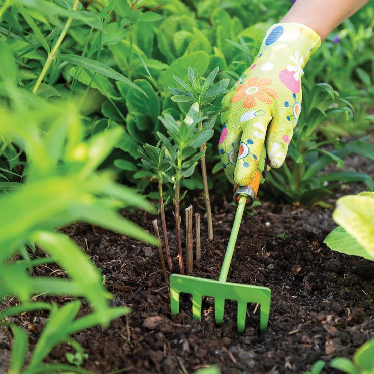 Planting Services Chuyins Lawn Care