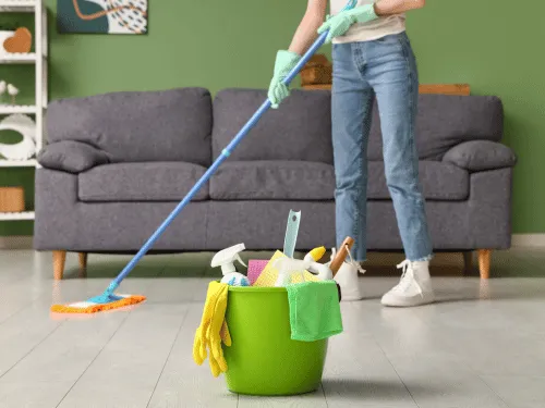  Home Cleaning Services