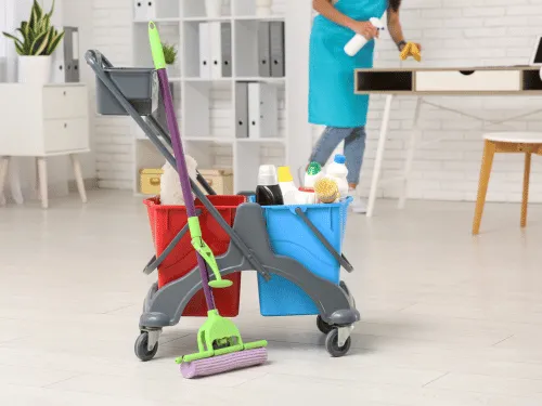  Home Cleaning Services