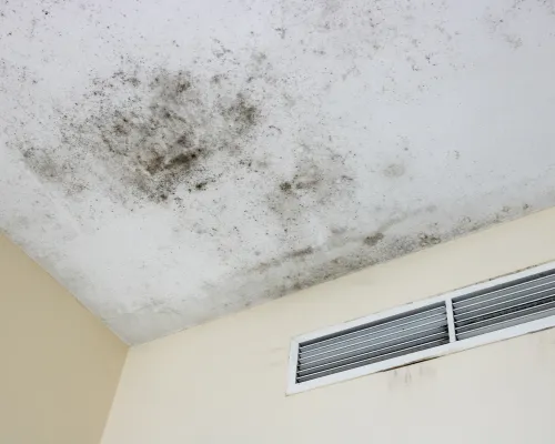 Adams County Water and Mold Restoration