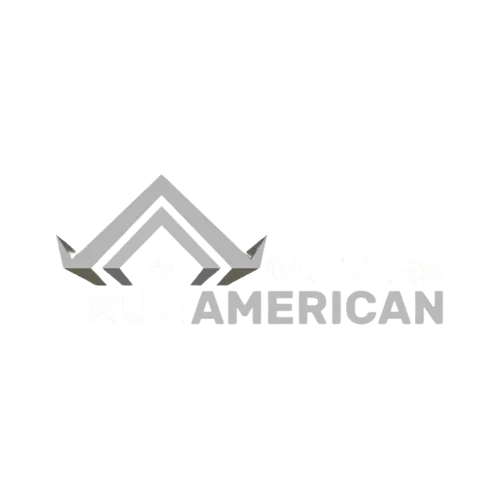 True American Gutters Houston Logo