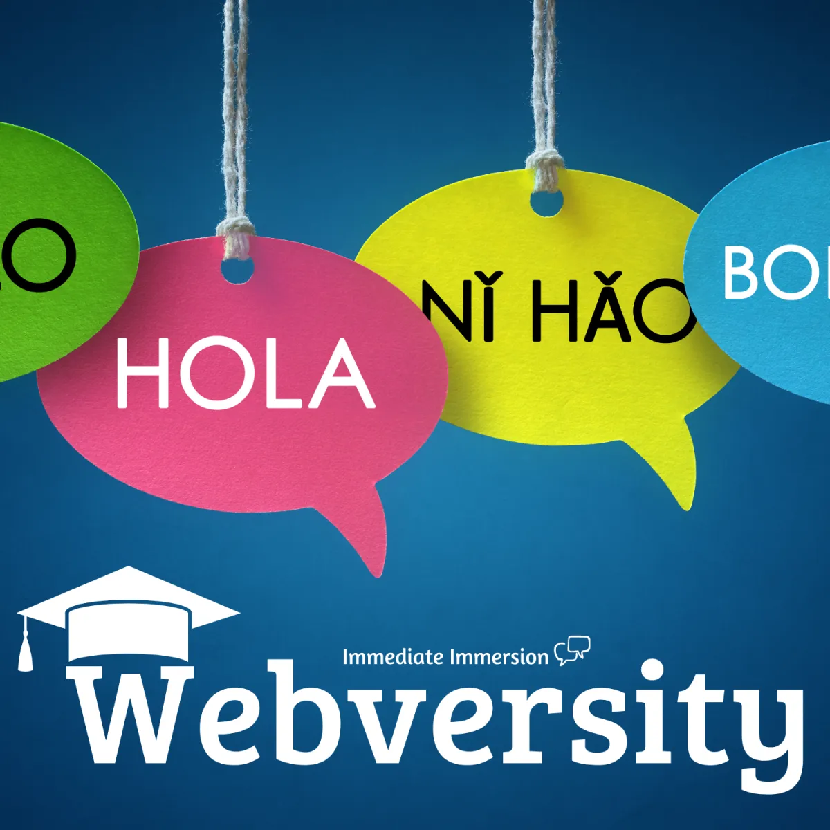 Webversity Course
