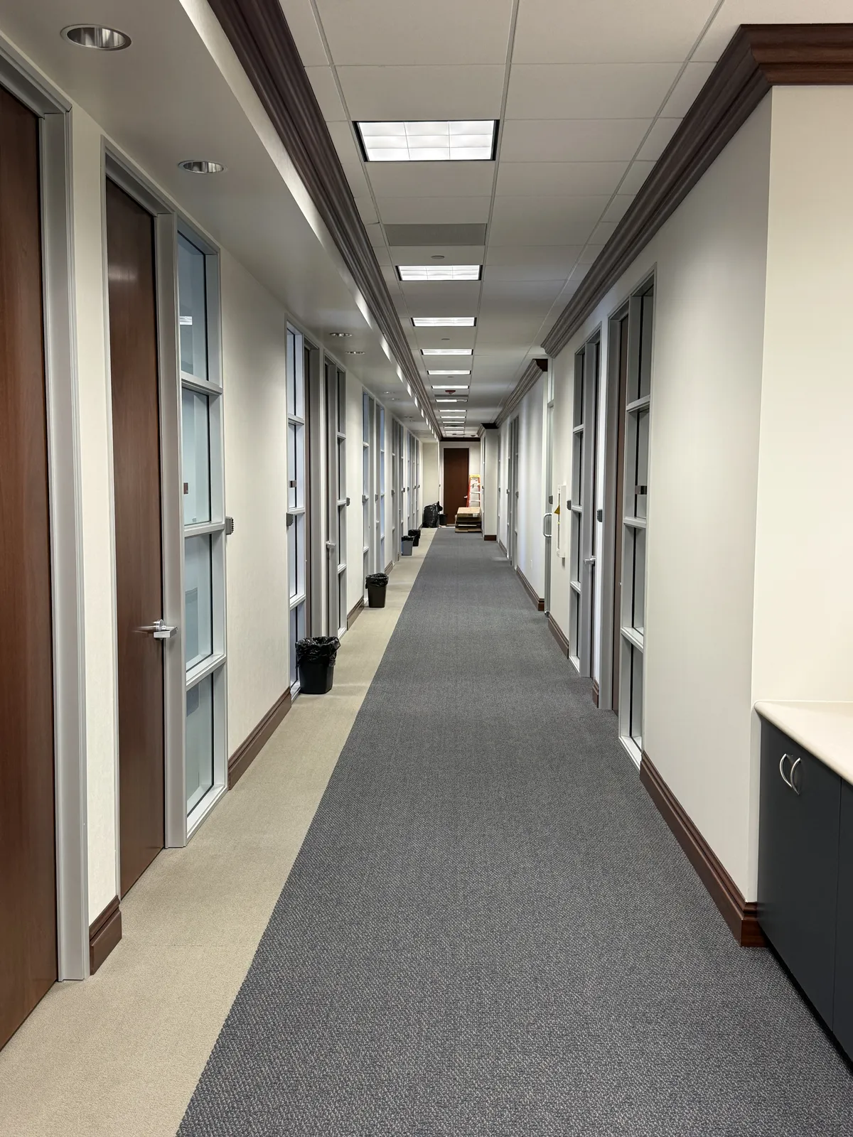 Professional office repainting by DL Coatings: night-shift corridor painting, carpet masking, low-VOC finishes, and zero tenant disruption.