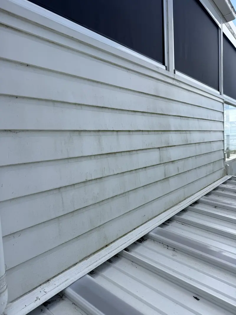Sea-facing white weatherboard wall in Thirroul streaked with green mildew before washing