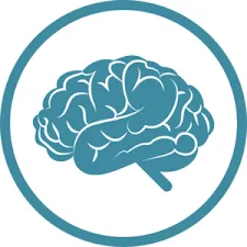 Een afbeelding van de hersenen; HBOT kent vele voordelen voor de hersenen