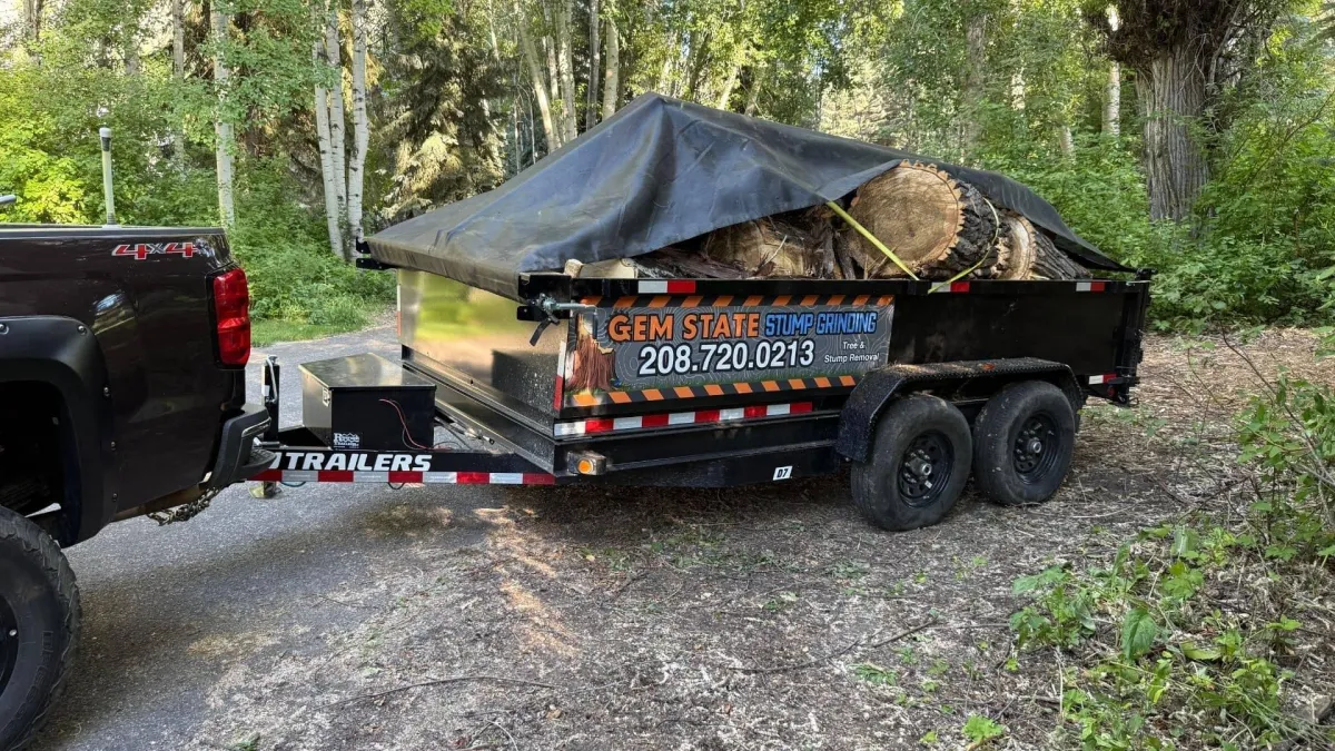 Emergency tree removal service truck loaded with storm debris for rapid response tree services in Sun Valley Idaho