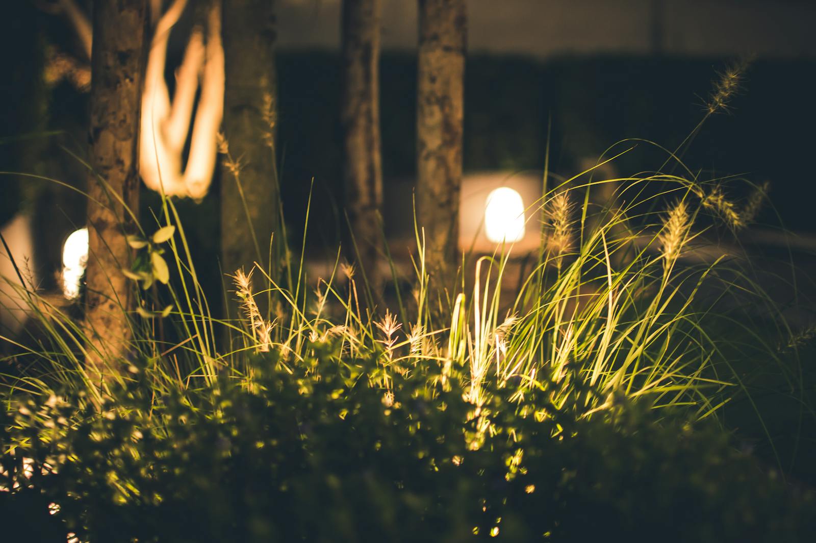 Landscape lighting design installed in Greenwich CT, Fairfield County