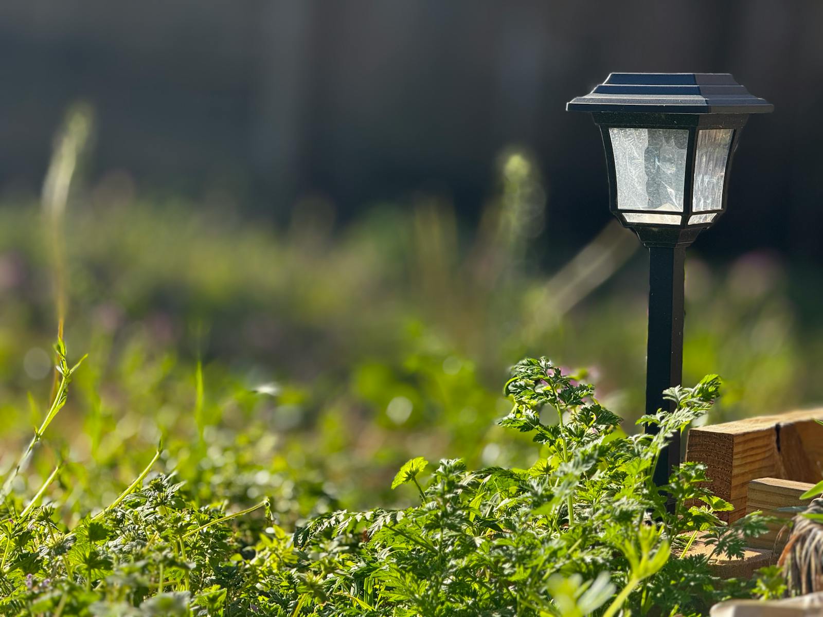 Backyard landscape lighting in New City NY, Rockland County