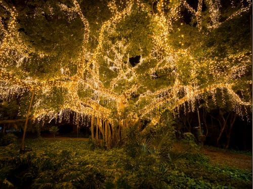 LED Lighting in Brisbane Metro Area