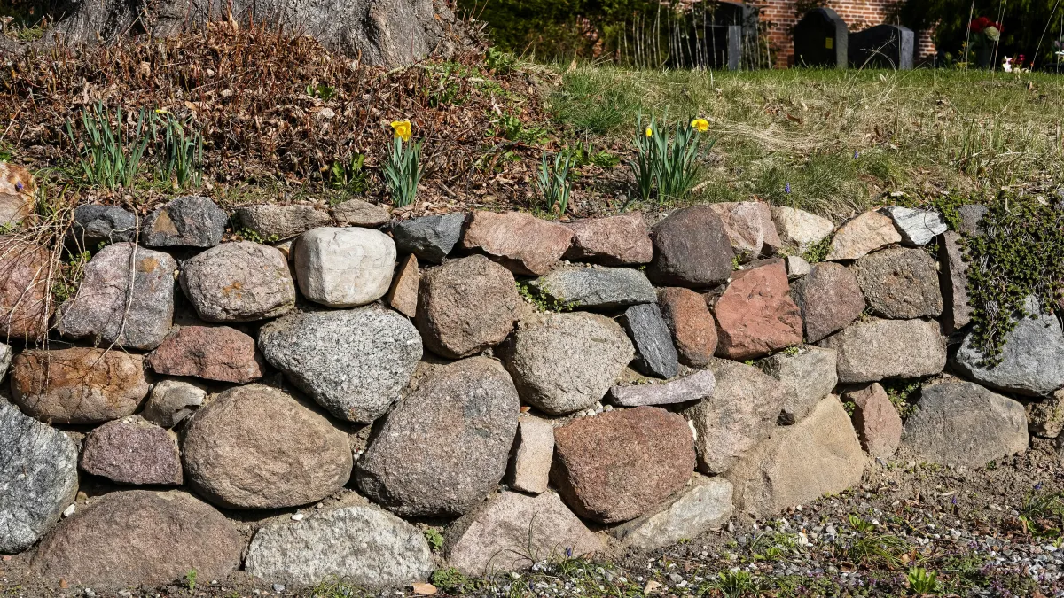  Landscape design