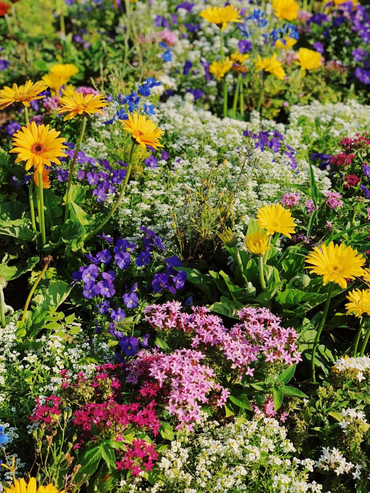  Landscape design