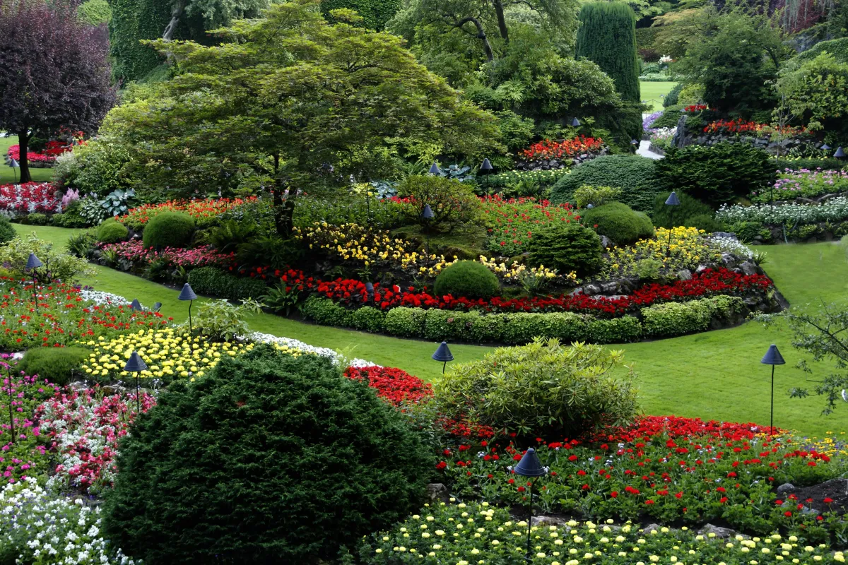  Landscape Construction