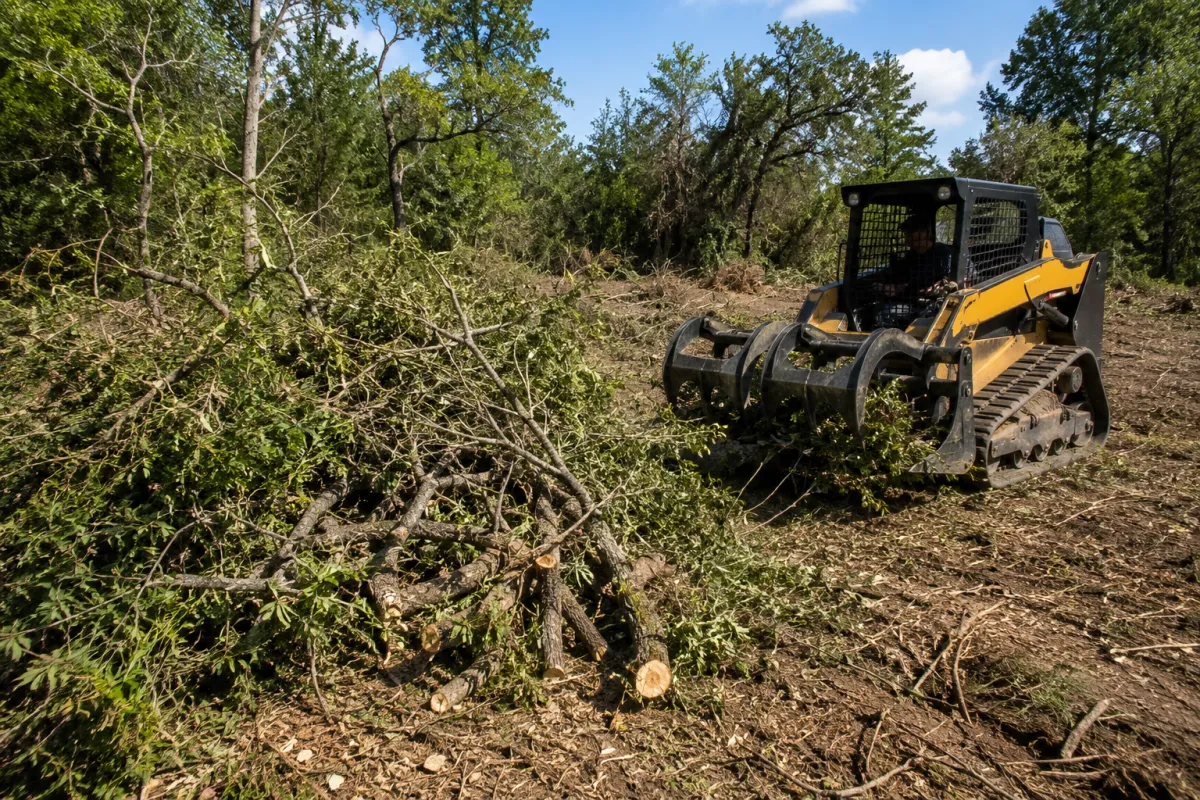 Brush Removal in Fort Worth