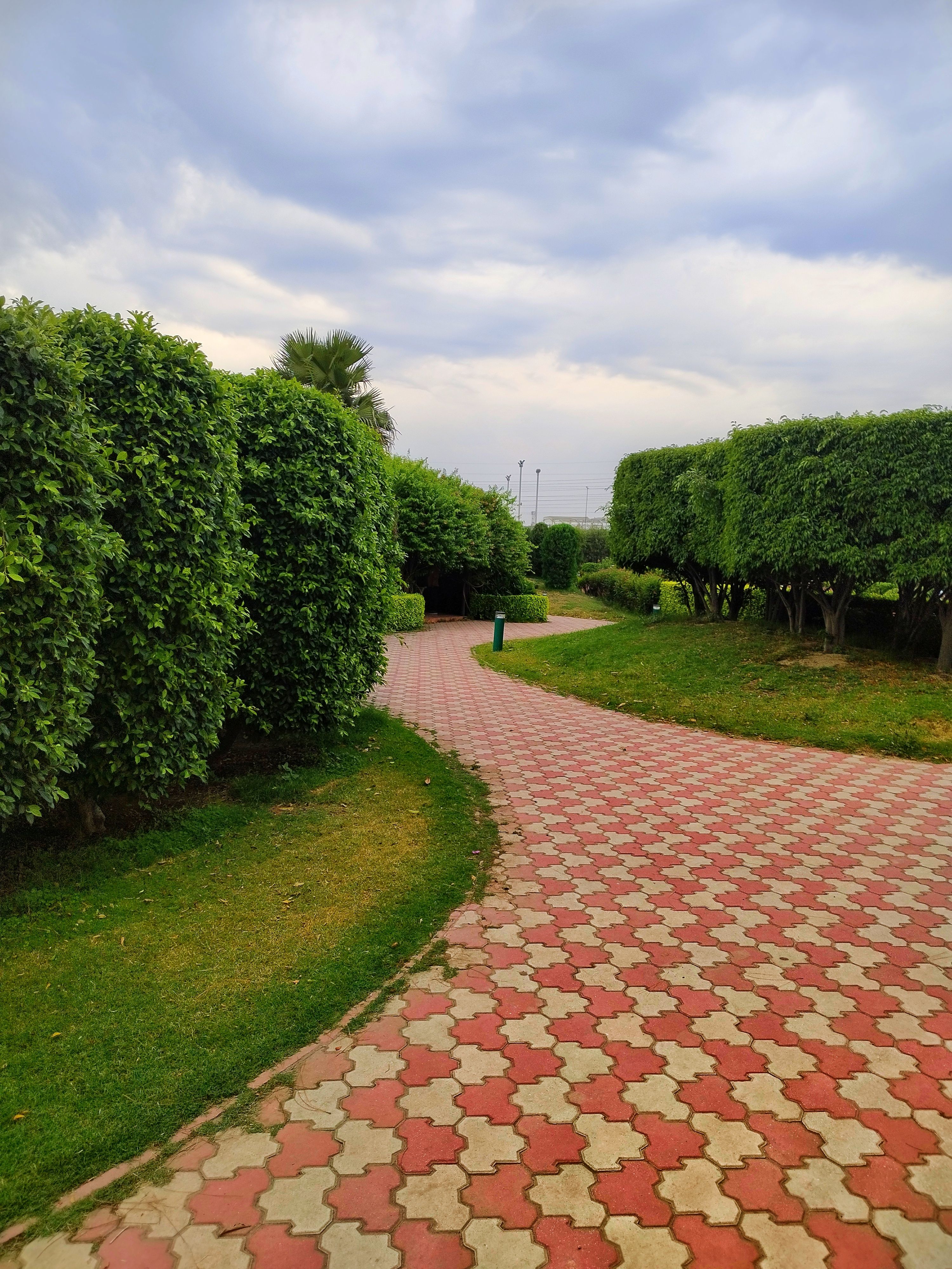 Boyd Landscape design