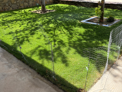 Sod Installation in Fort Worth