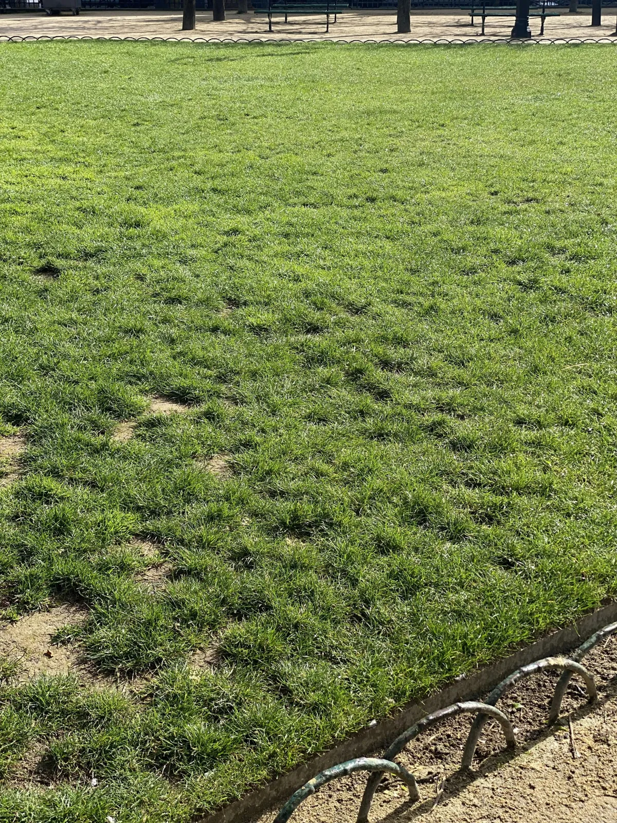 Weatherford Sod Installation