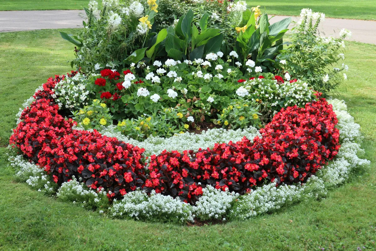 Weatherford Flower Beds