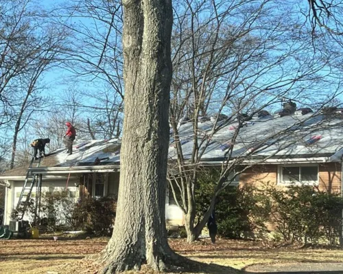 Siding Installation Ambler