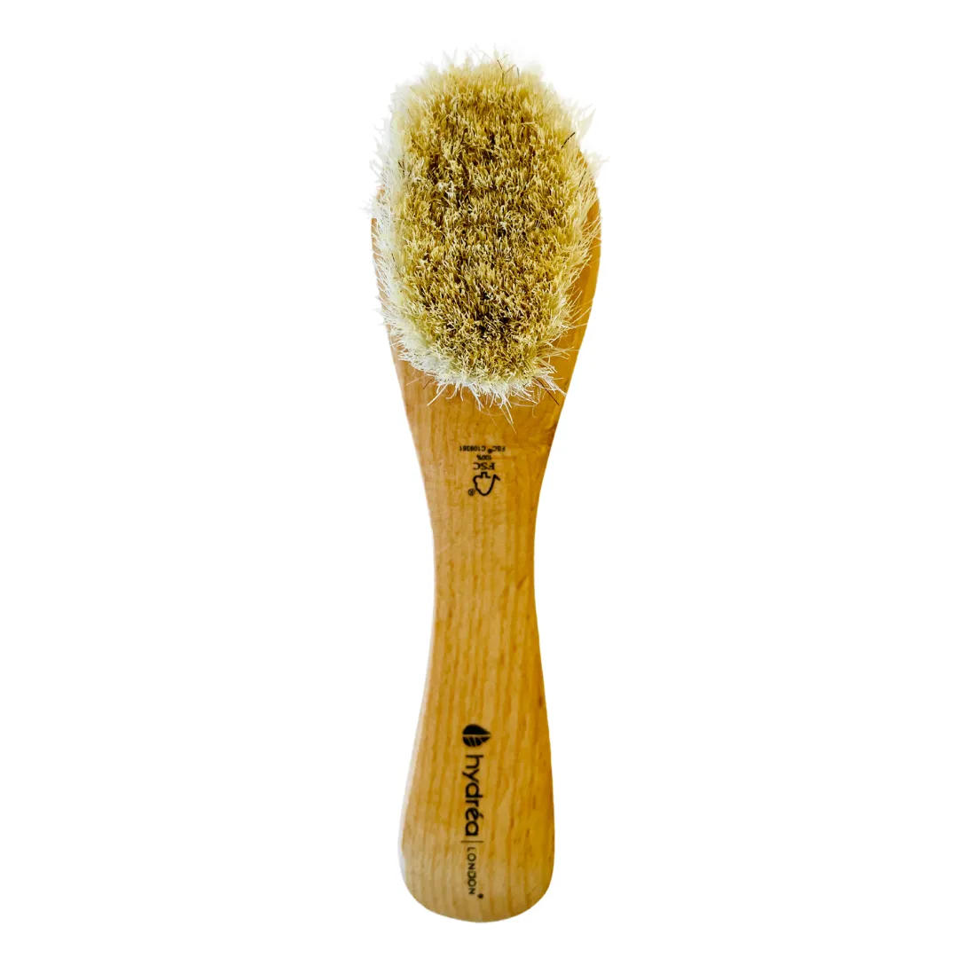 Dry body brush for face - lymphatic drainage - detoxifying - The Stress Coach