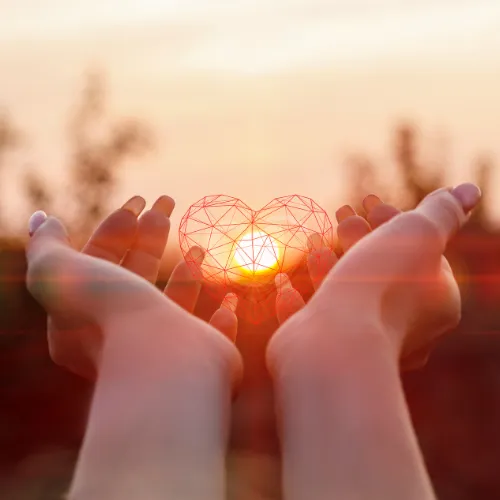 Surrender to Your Emotions