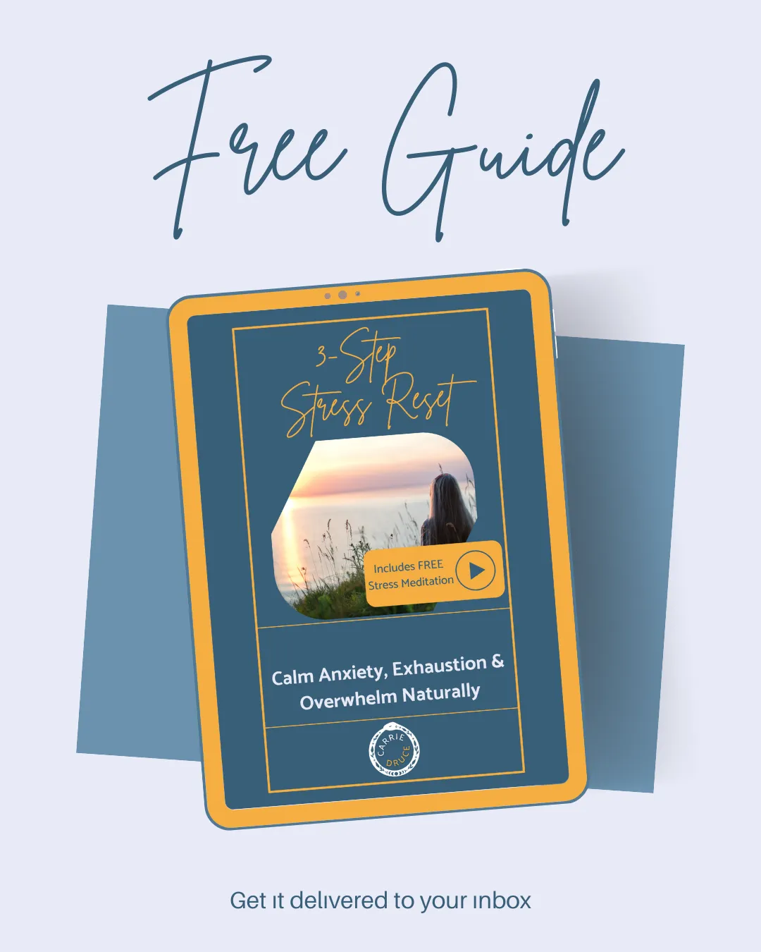 Free Guide - 3 Step Stress Reset with Carrie Druce