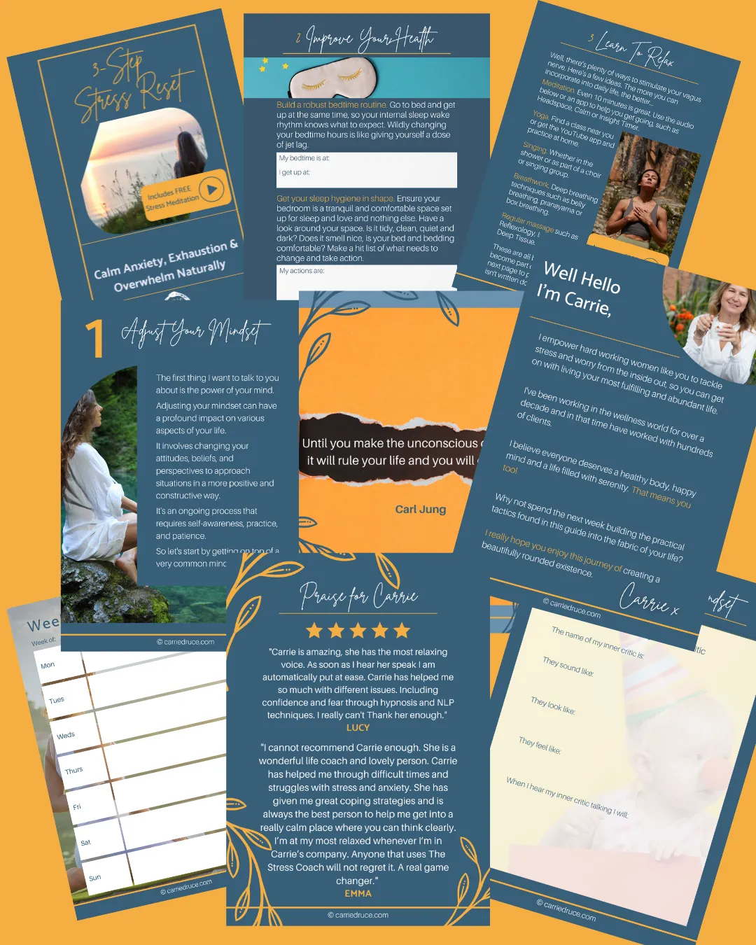 3-Step Stress Reset with Carrie Druce FREE Guide