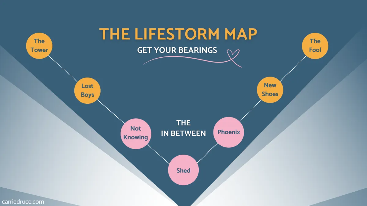 a top level view of the LifeStorm Map