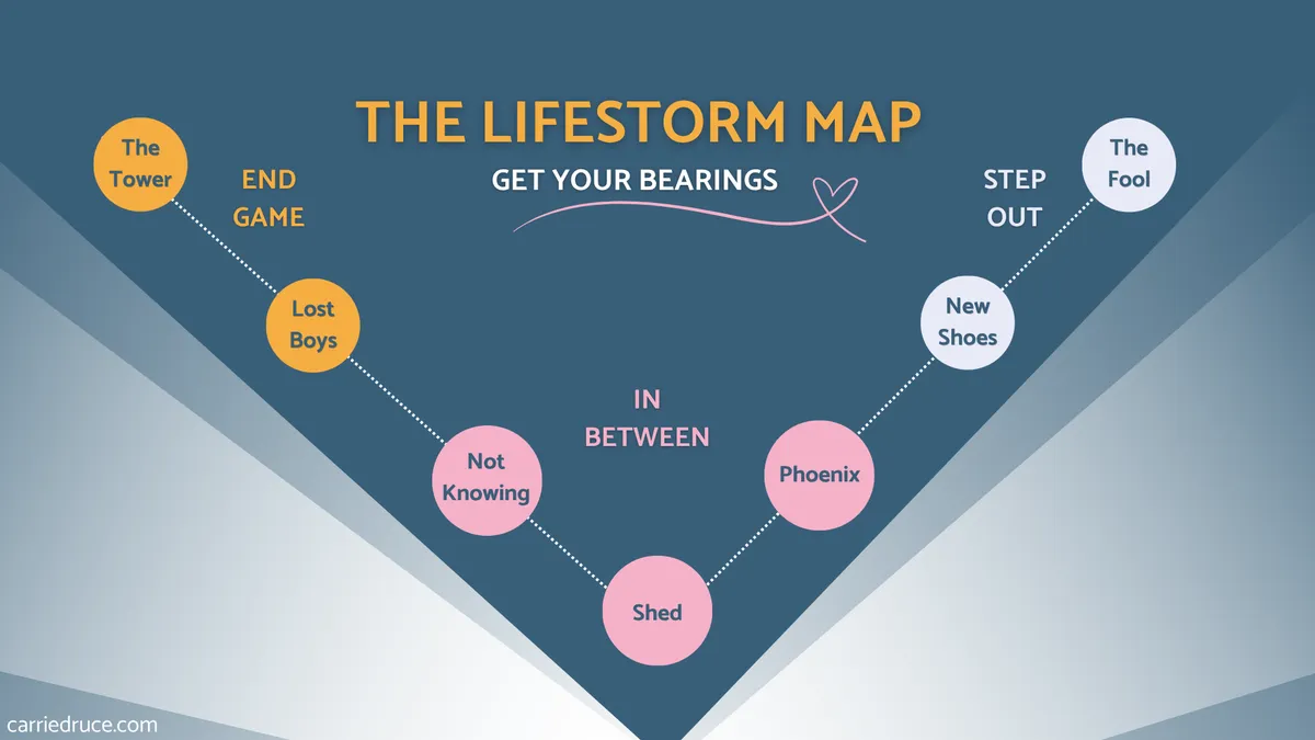 a top level view of the LifeStorm Map