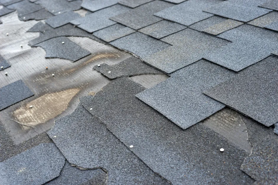 New Roof Installation