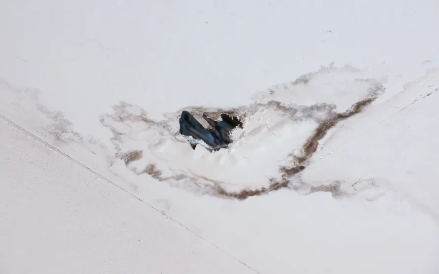 Roof Leaks
