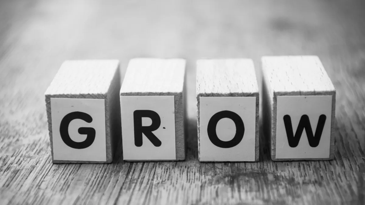 Building retirement wealth through business growth strategies