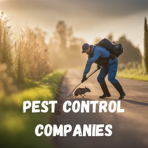 We work with pest control companies