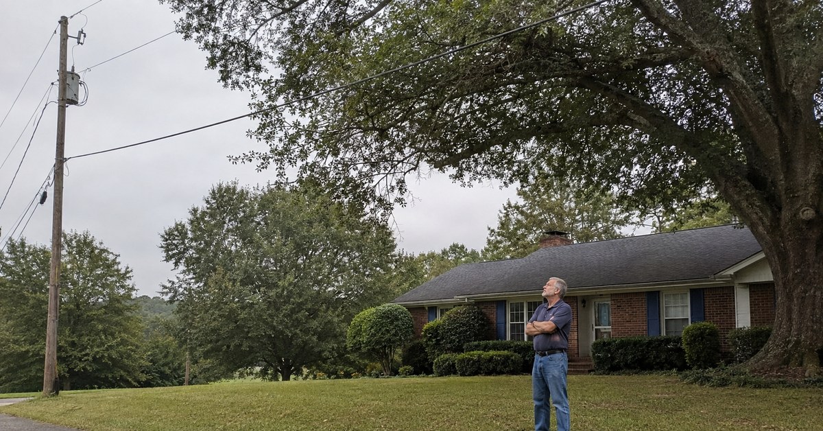 Trees and Power Lines: What's Yours and What Isn't