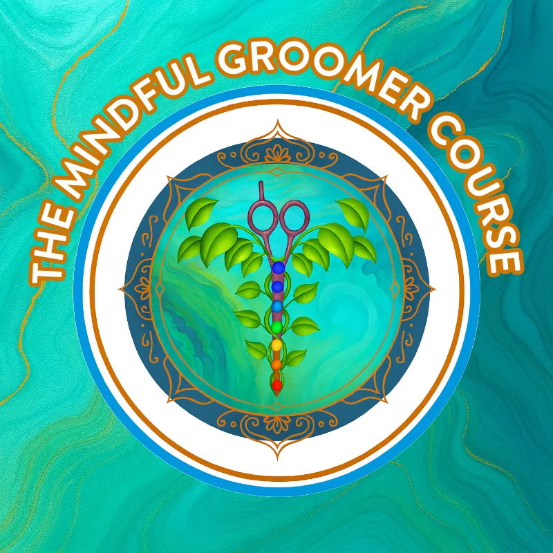 Modern Grooming Professional Certification