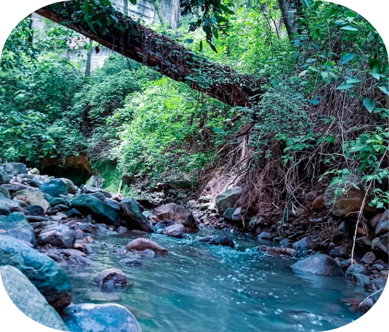 Passover Program Guatemala Oceana Quest 2026