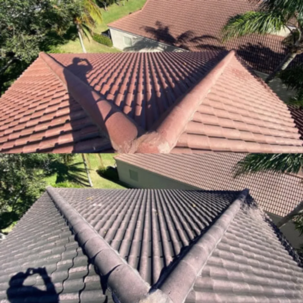 Roof Cleaning