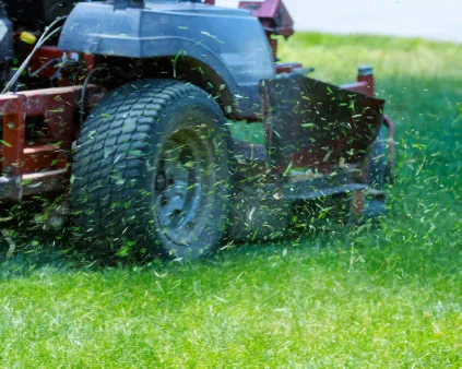 Professional Lawn Mowing Services in South Shore MA outdoor living area  Paver hardscape project in South Shore MA backyard  Hardscape construction with patio and walkway in South Shore MA  Outdoor hardscape renovation in South Shore MA  Hardscape installation with proper base and drainage in South Shore MA  Hardscape installation in Cape Cod MA outdoor living area  Paver hardscape project in Cape Cod MA backyard  Hardscape construction with patio and walkway in Cape Cod MA  Outdoor hardscape renovation in Cape Cod MA  Hardscape installation with proper base and drainage in Cape Cod MA