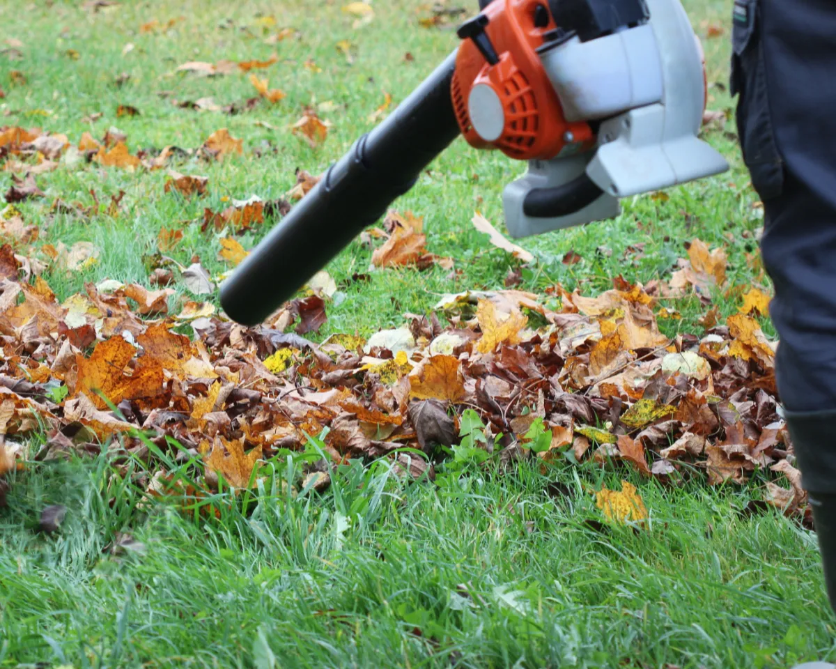 Spring And Fall Cleanups remove leaves, debris, and overgrowth while refreshing landscape beds and lawn areas to keep your property clean and well maintained.