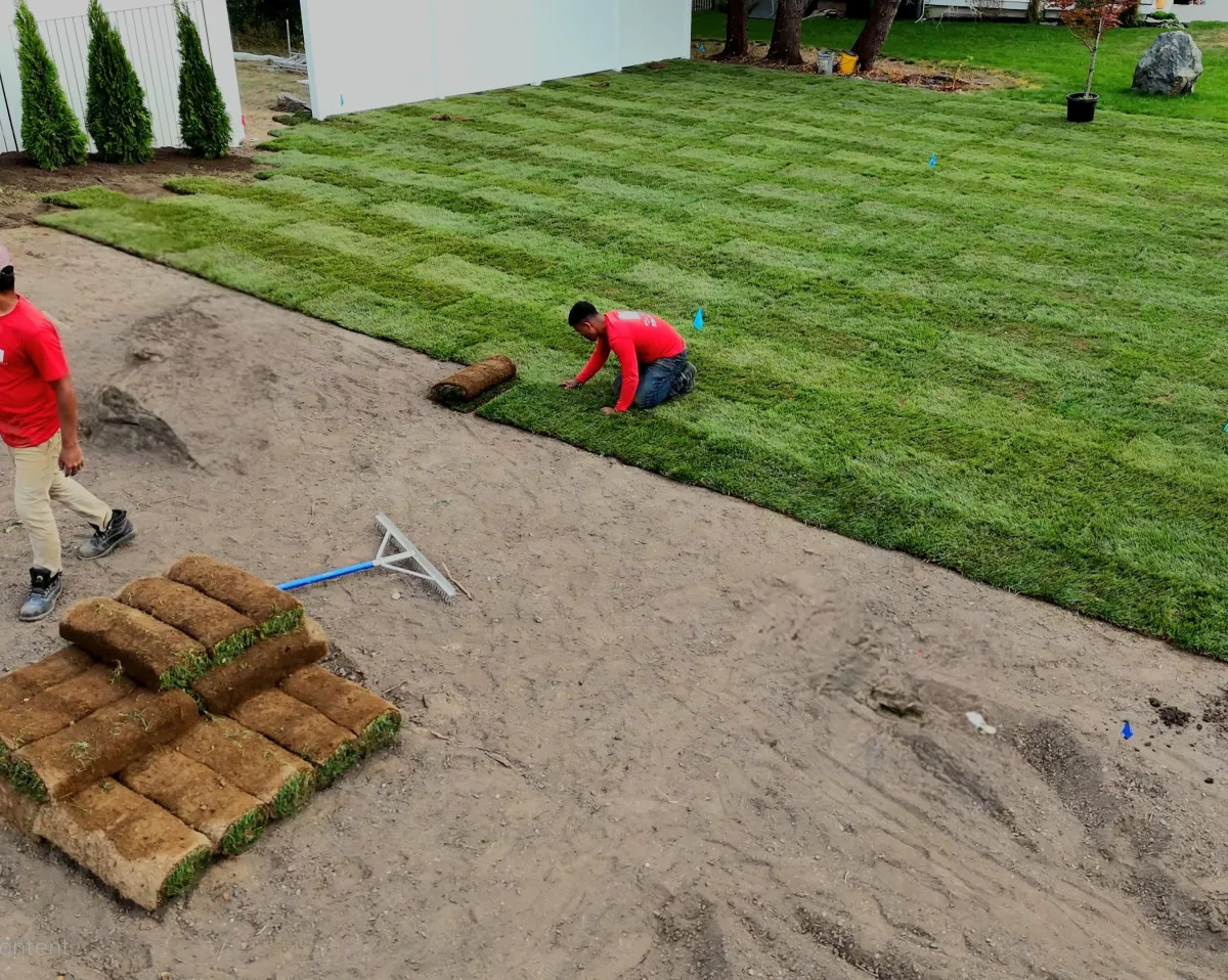 Professional Sod Installation Services