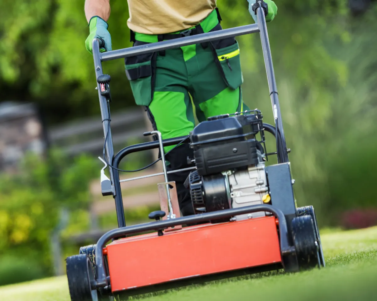 Professional Sod Installation Services