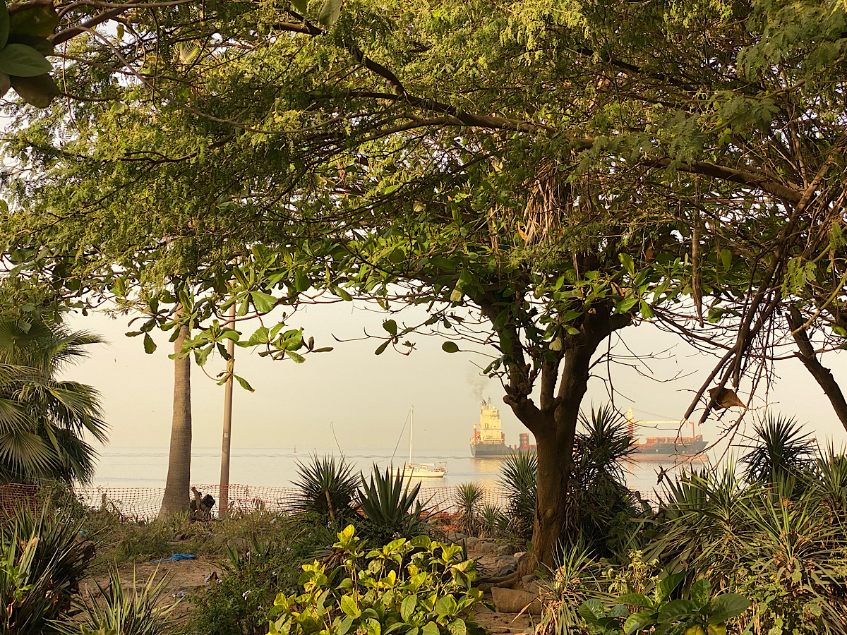 This week from Africa 8.4.26