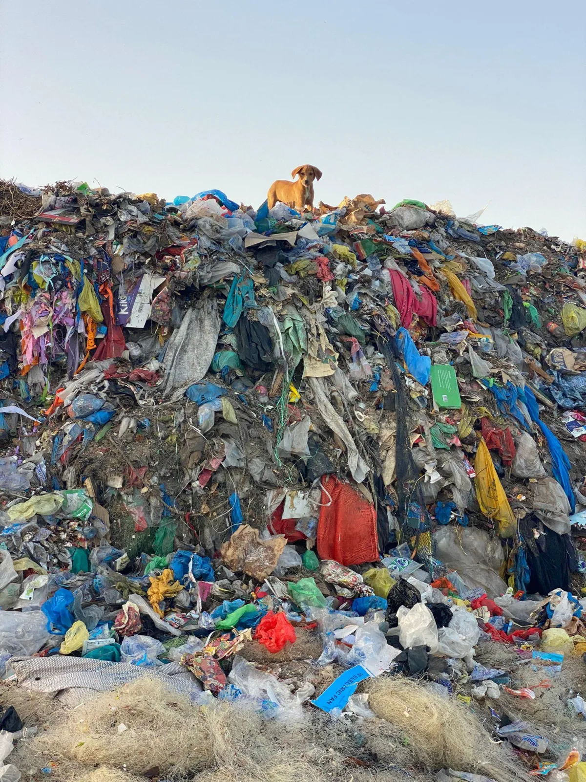 This Week From Africa 15.4.26