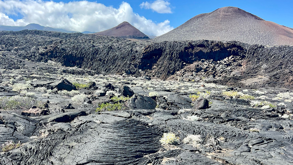 Final Stop Before Summer Break 2025