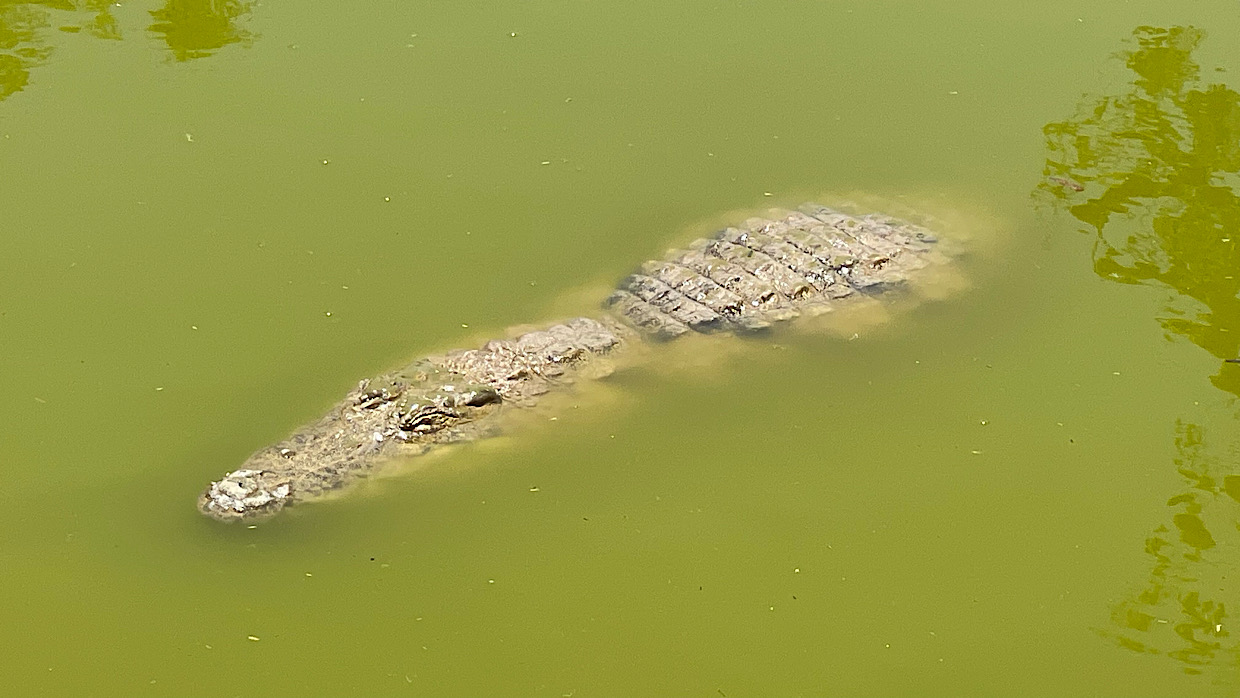 A Day Off in Westafrica
