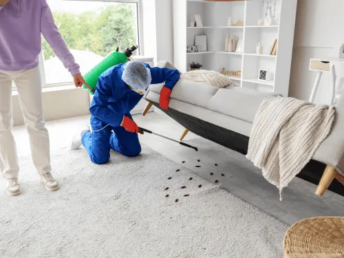 {{ custom_values.service_1 }} in {{custom_values.biz_area_1})